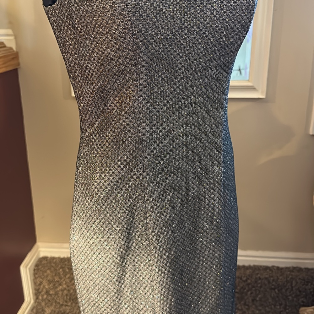 Silver Formal - Picture 3 of 3